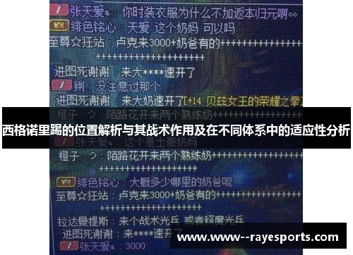 西格诺里踢的位置解析与其战术作用及在不同体系中的适应性分析