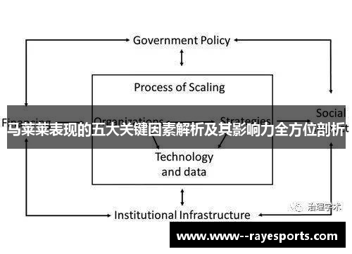 马莱莱表现的五大关键因素解析及其影响力全方位剖析